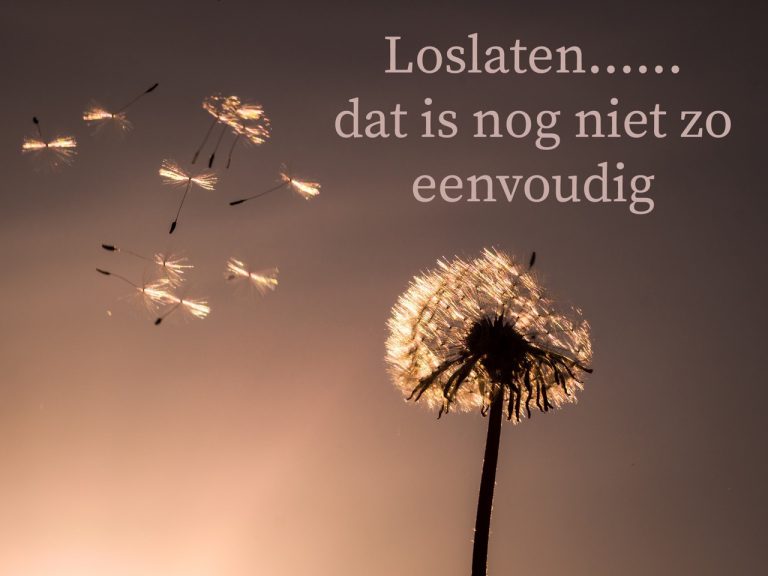 Blog - LOSLATEN Loslaten Is Accepteren Dat Het Niet Nodig Is Dat Alles ...